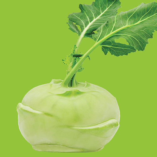 Kohlrabi White Vienna Seed