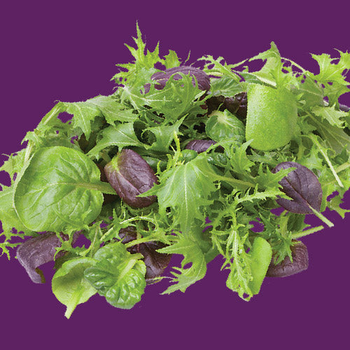 Microgreens Oriental Mix Seed