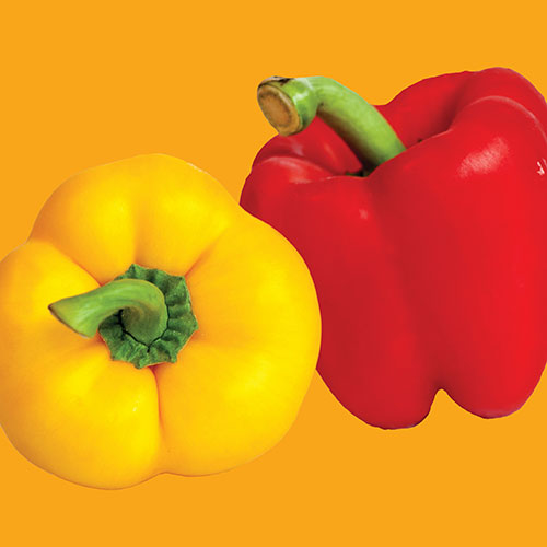 Capsicum Mini Belle Mixed Seed
