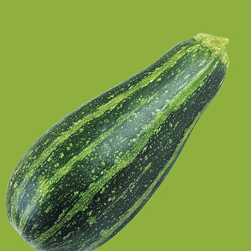 Squash Romanesco Seed