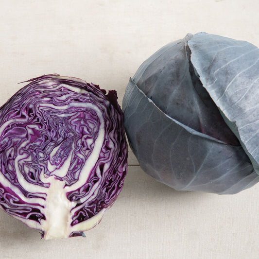 Cabbage Baby Red Omero