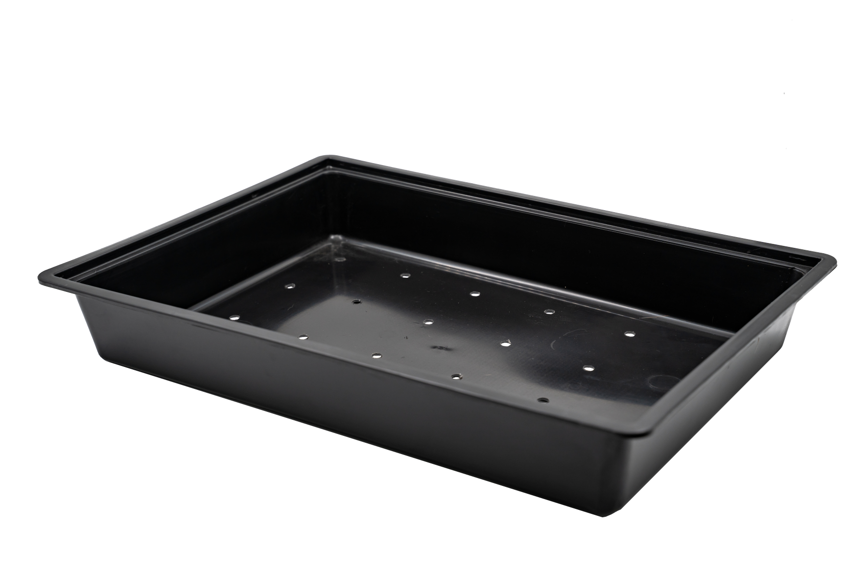 Plastic Tray - large and shallow