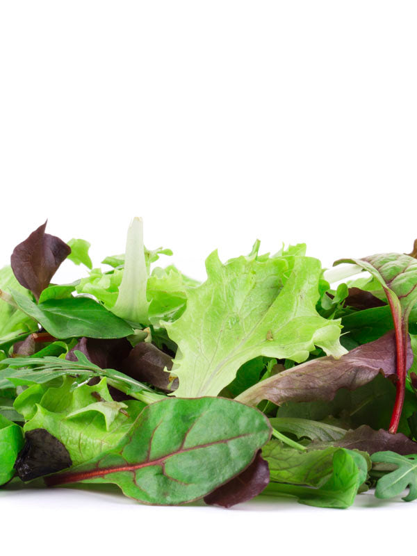Lettuce Mesclun Mix