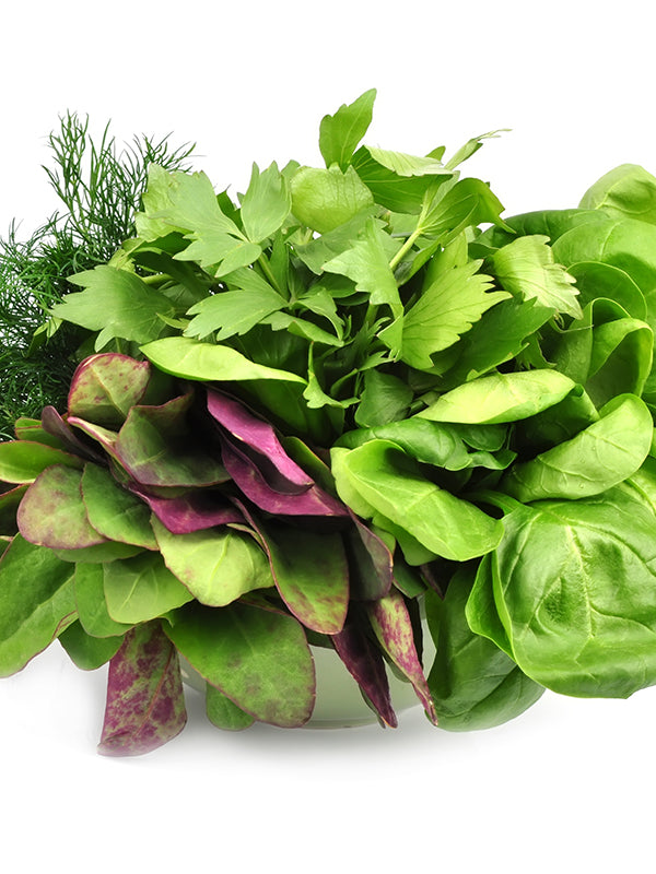 Lettuce Mesclun Spicy Salad