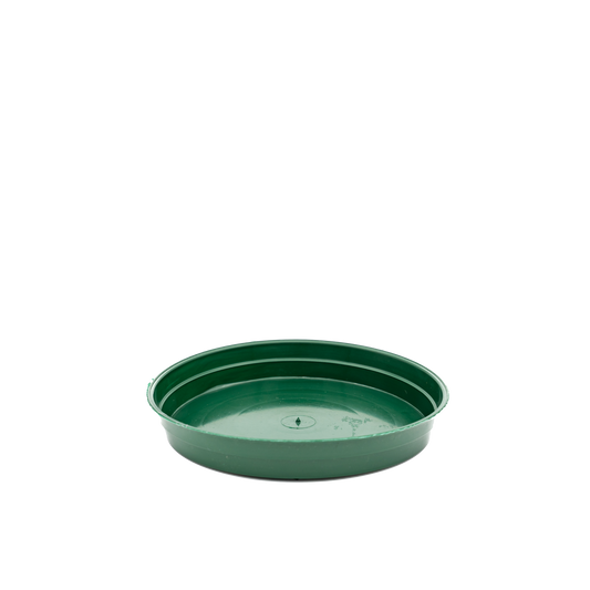 Plastic Pot Saucer - Green