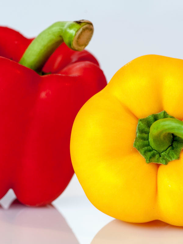 Capsicum Mini Belle Mixed