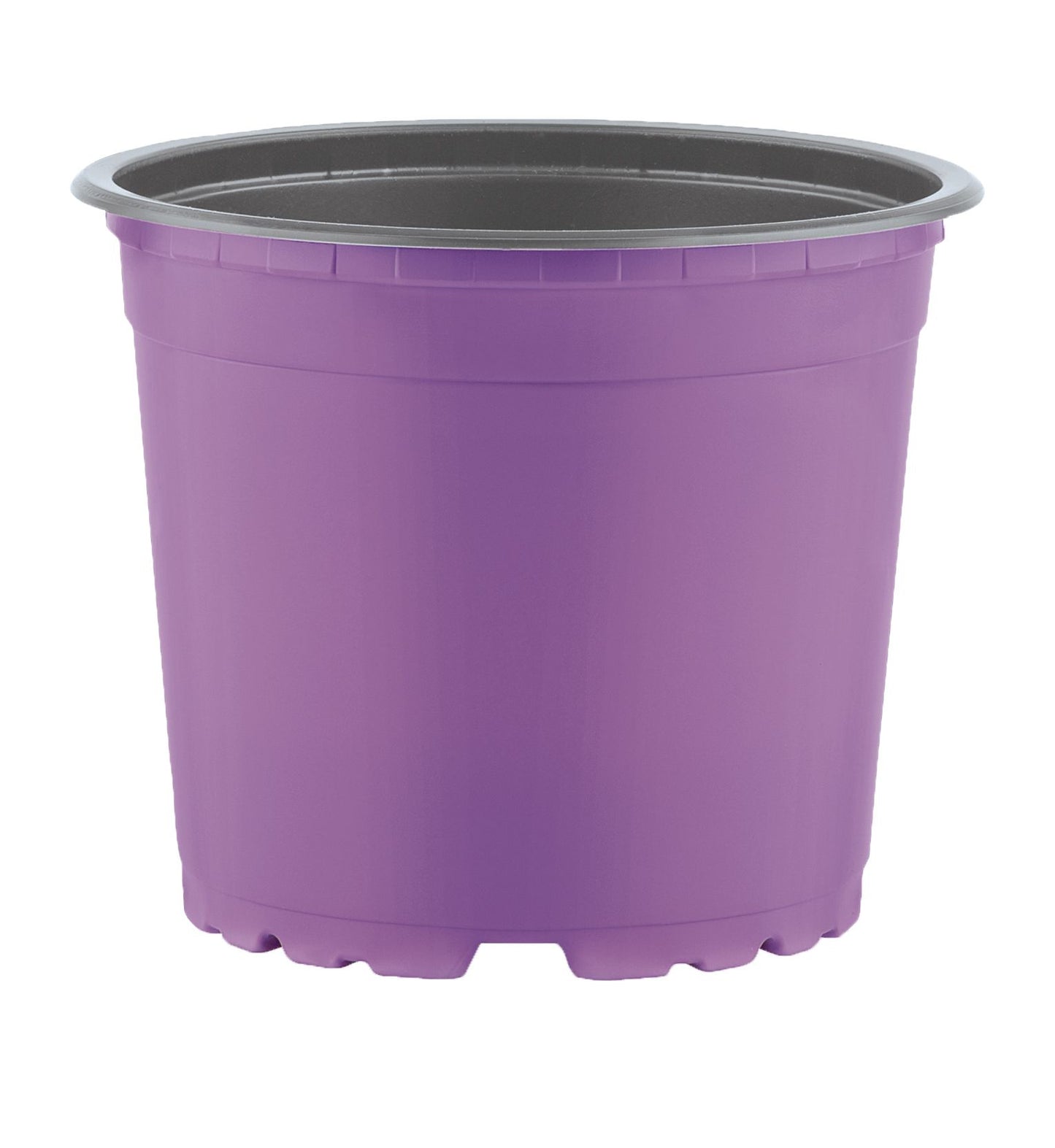 Thermoform Pots 14cm - purple