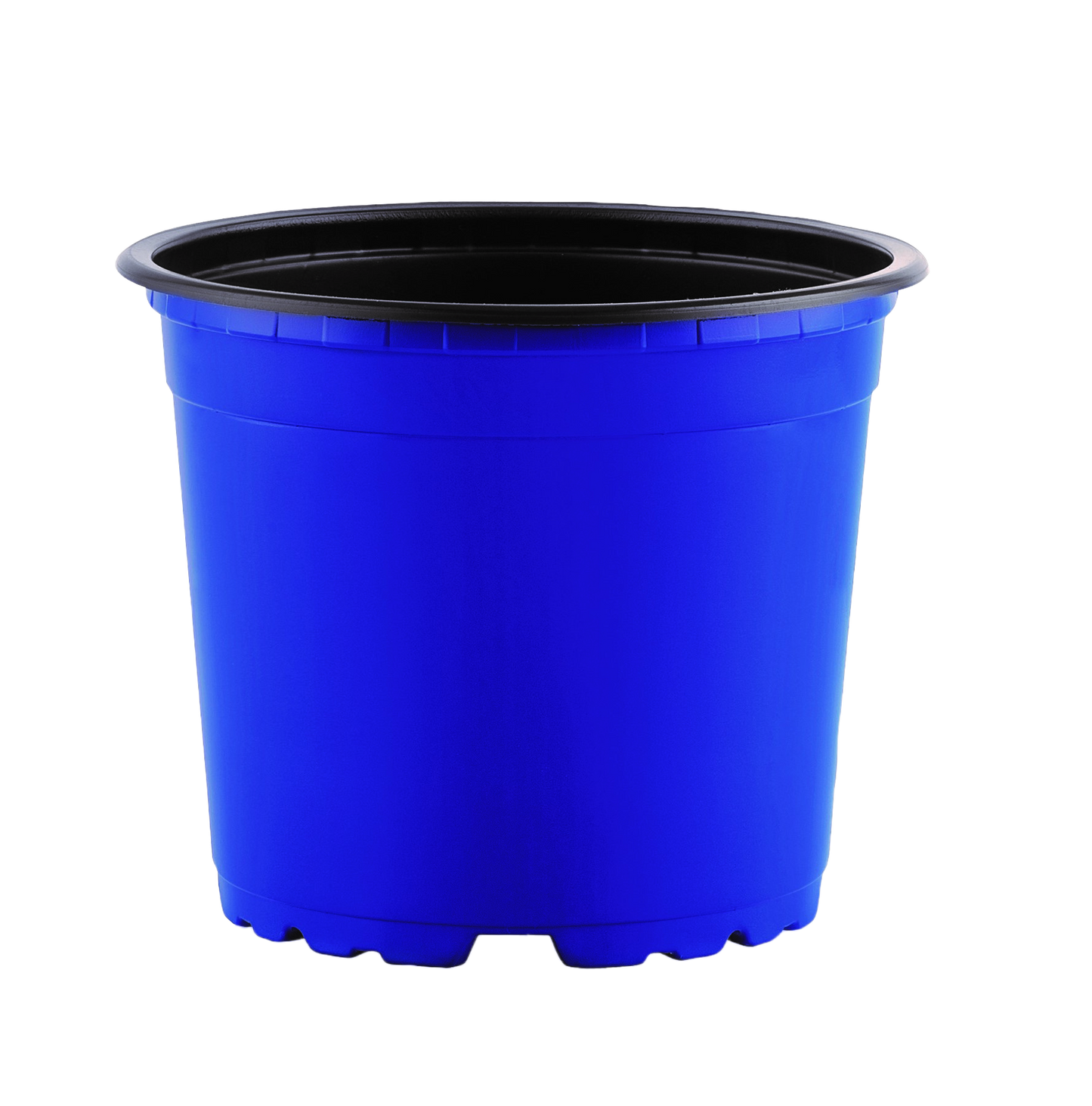 Thermoform Pots 17cm - blue