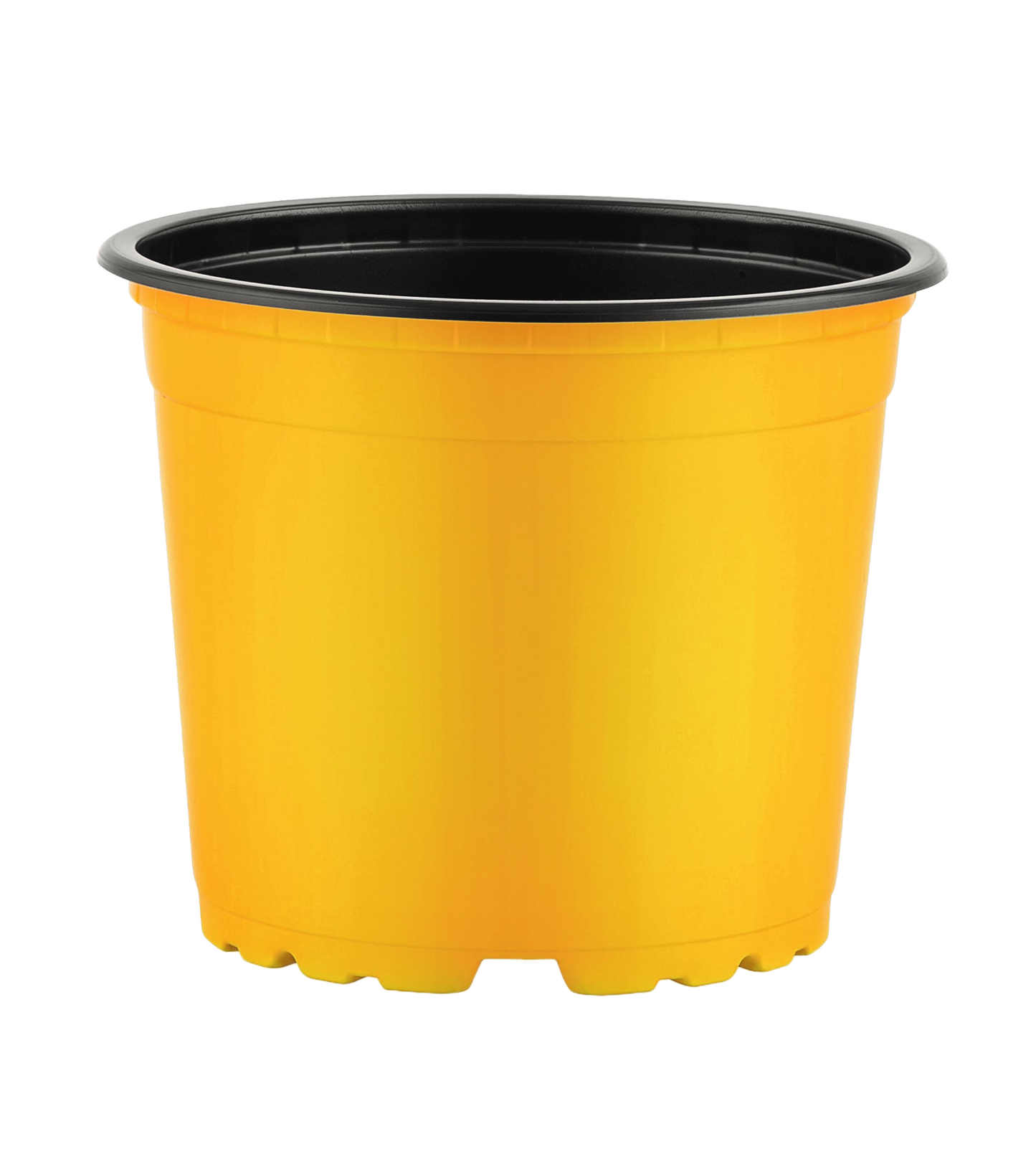 Thermoform Pots 17cm - yellow