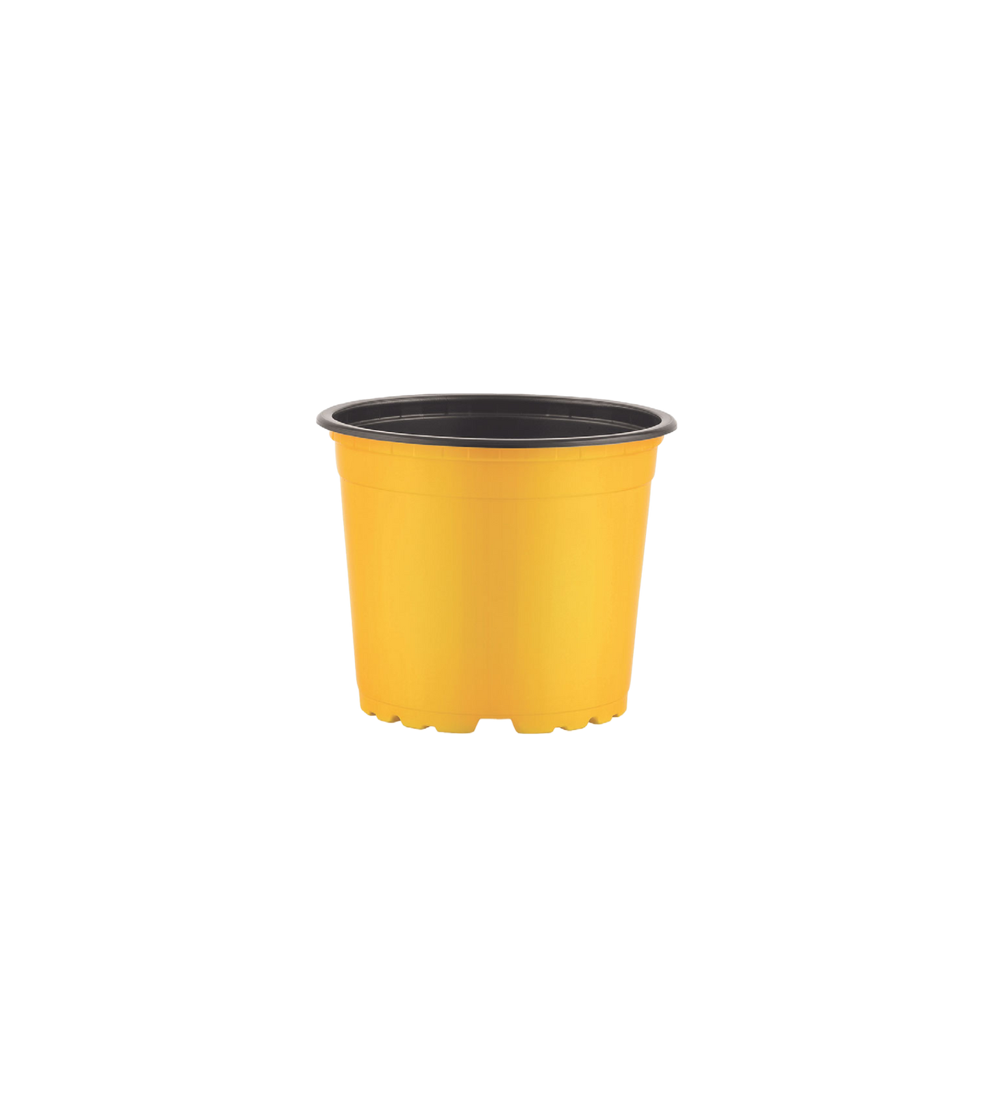Thermoform Pots 14cm - yellow