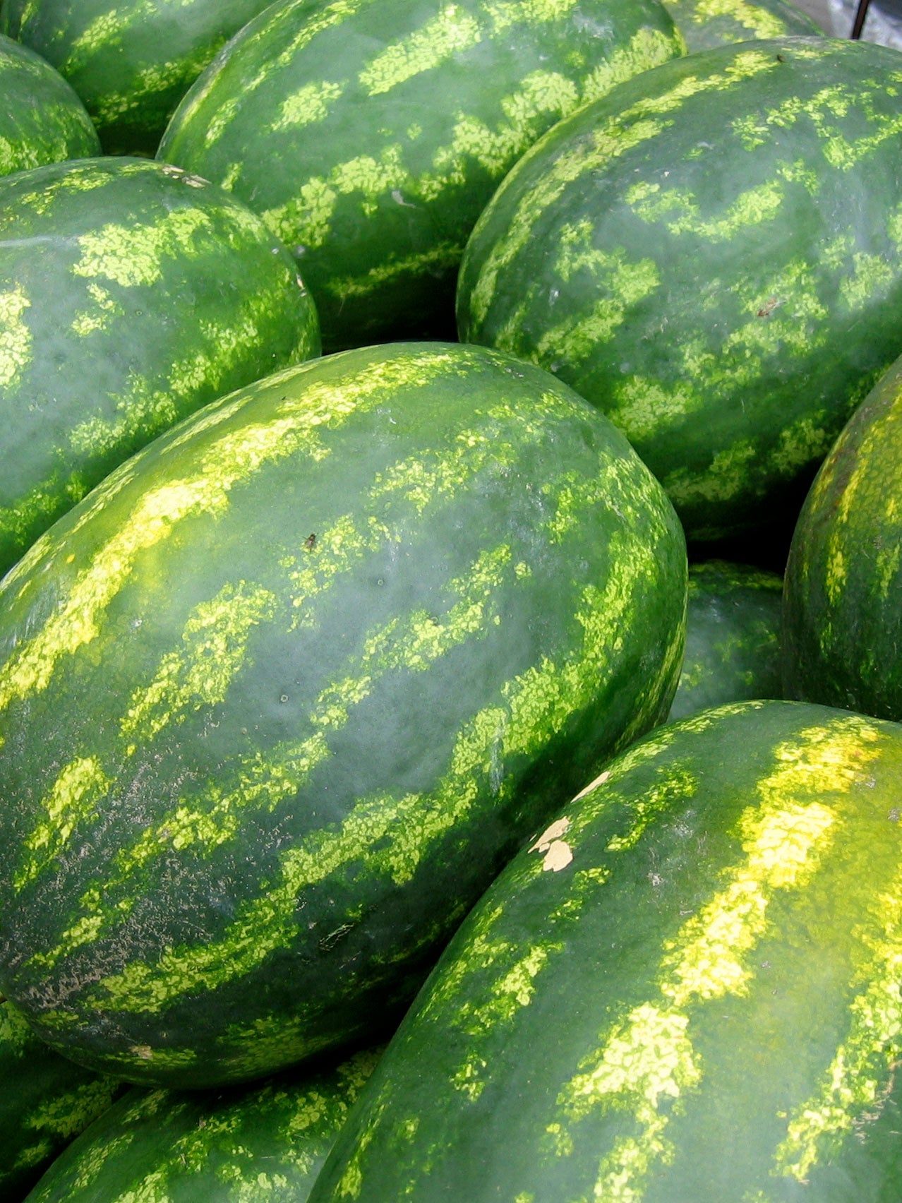 Разновидность арбузов китано. Овальный арбуз сорт. Иранский арбуз. Арбуз сорт грей белл. Голландские сорта арбузы.